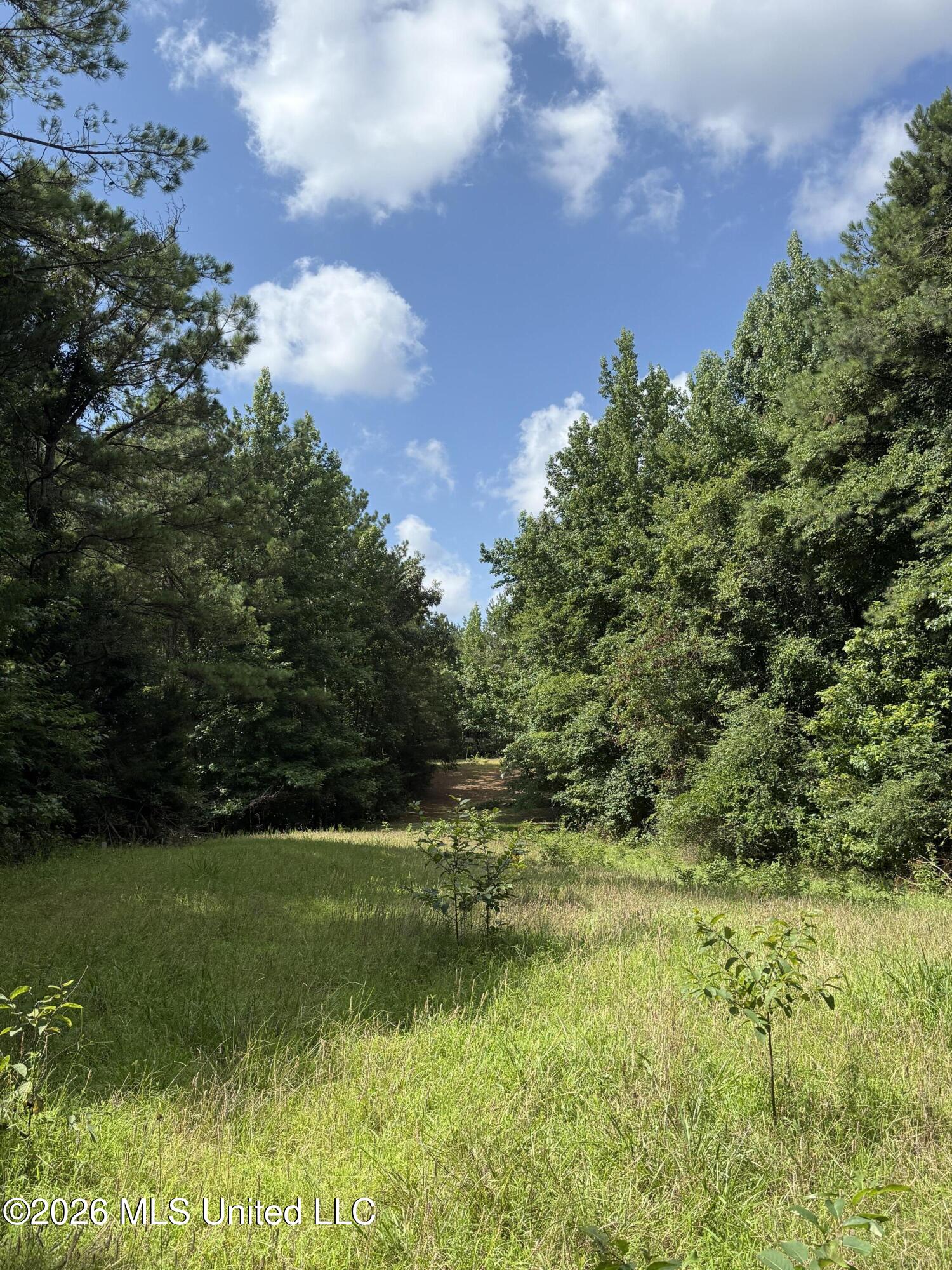407 Highway Kilmichael Ms 39747 French Camp, MS 39745 - Photo 2 of 26 2