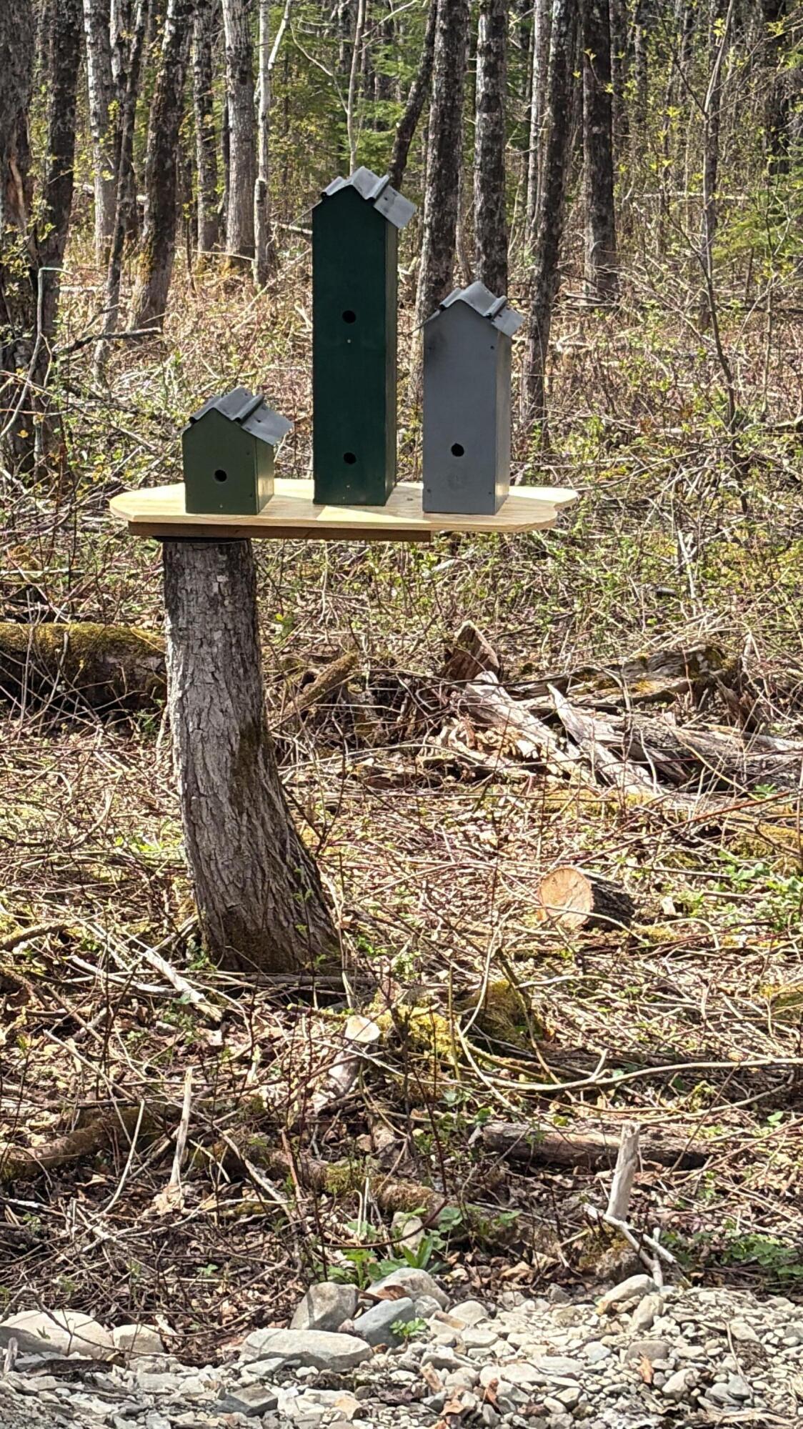 345 McIntyre Road Woodland, ME 04736 - Photo 14 of 28 Birdhouses