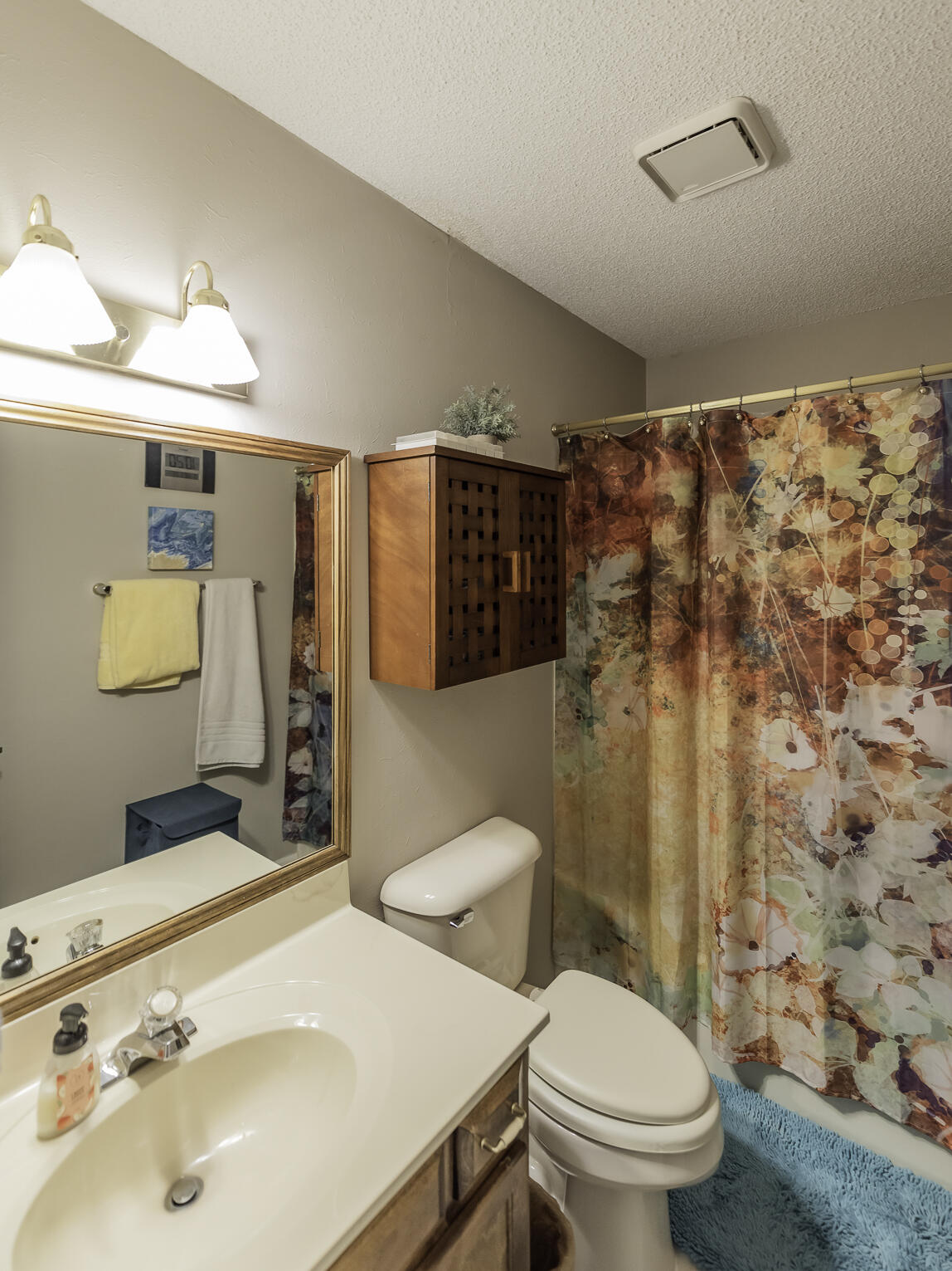 6716 Hickory Brook Road Chattanooga, TN 37421 - Photo 19 of 32 hall bath