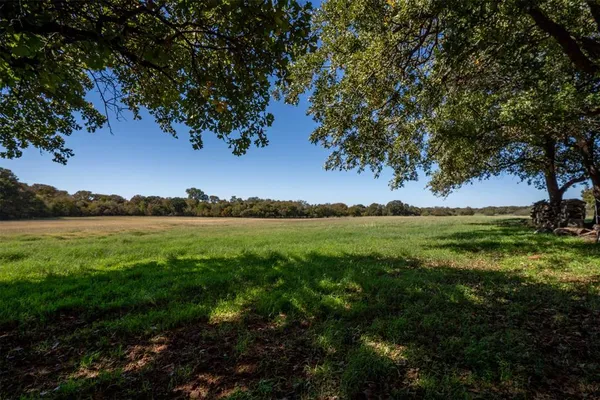 a backyard of a house with large trees