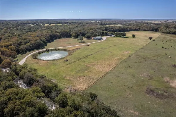 a view of a dry plant in a bathroom