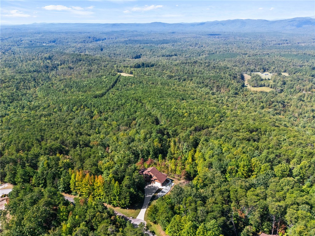 271 Jocassee Ridge Way Salem, SC 29676 - Photo 47 of 50 Western facing view