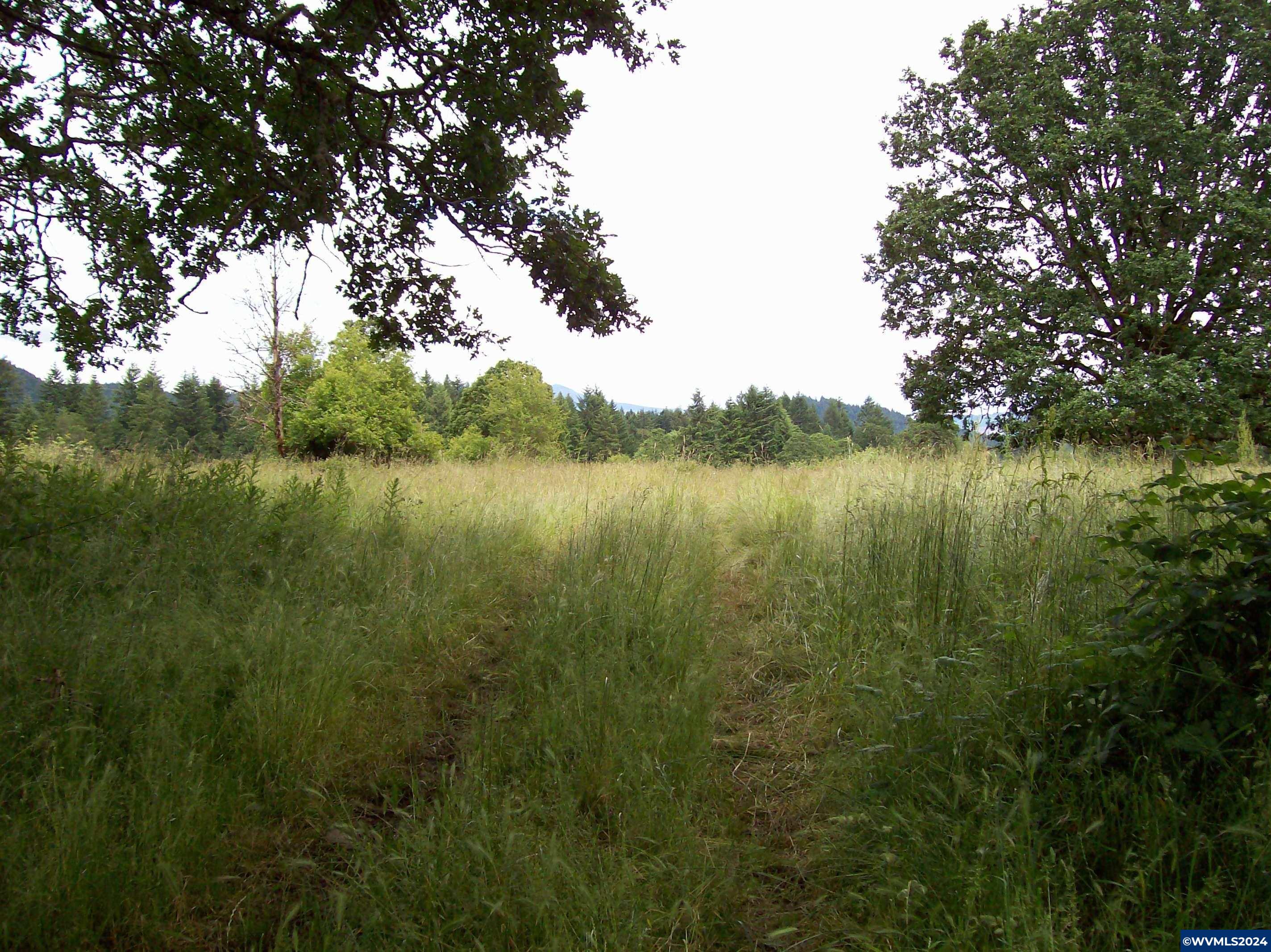 30209 Fairview Road Lebanon, OR 97355 - Photo 14 of 32