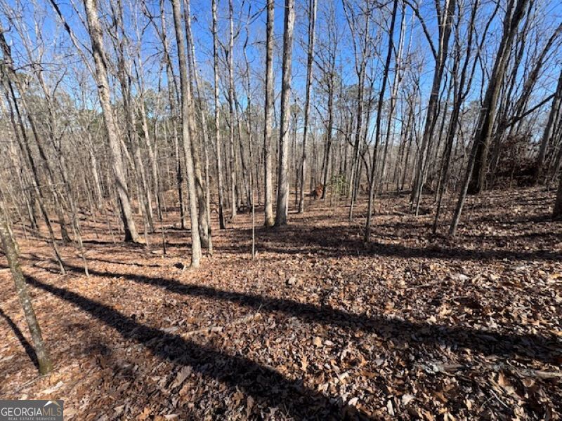 0 Brown Creek Road Shiloh, GA 31826 - Photo 11 of 30 a view of a backyard with trees