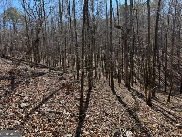 a view of a yard with a trees