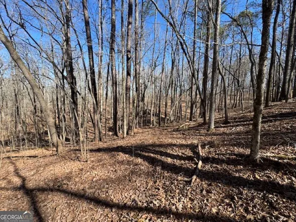 a view of a backyard of the house