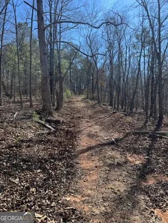 a view of a yard with trees