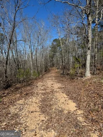 a view of backyard with large trees