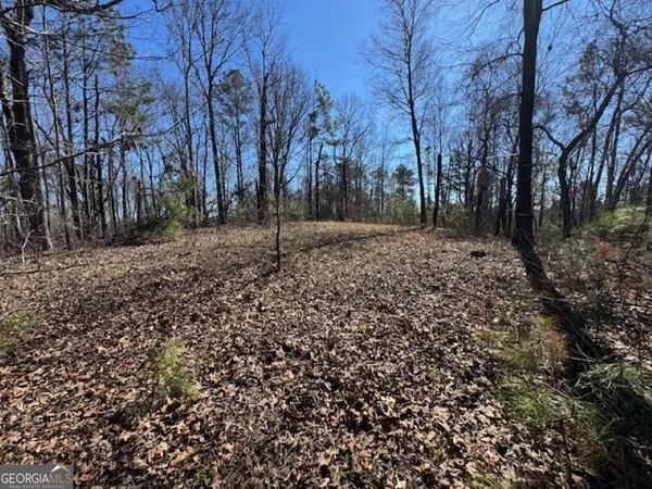 a view of a yard with trees