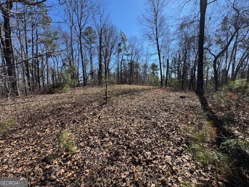0 Brown Creek Road Shiloh, GA 31826 - Photo 18 of 30 a view of a yard with trees