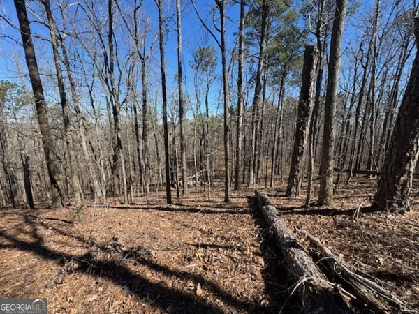 a view of outdoor space with trees