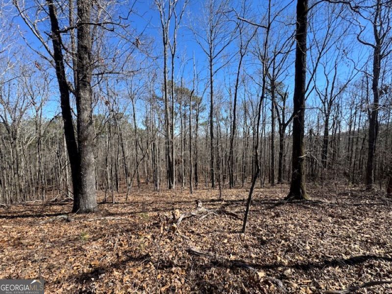0 Brown Creek Road Shiloh, GA 31826 - Photo 20 of 30 a view of outdoor space with trees