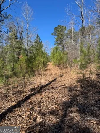 a view of a yard with lots of bushes
