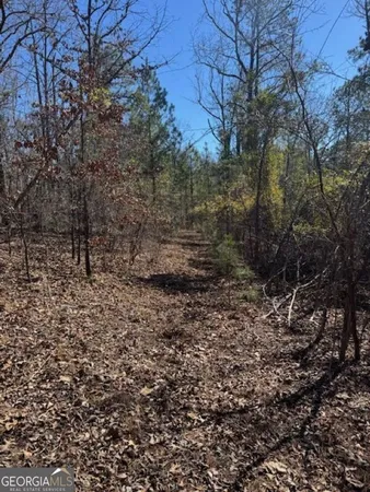 a view of a yard with large trees