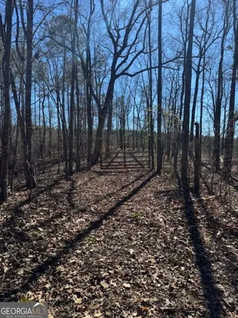 a view of backyard with trees