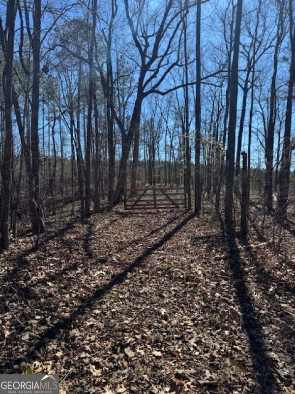 0 Brown Creek Road Shiloh, GA 31826 - Photo 23 of 30 a view of backyard with trees