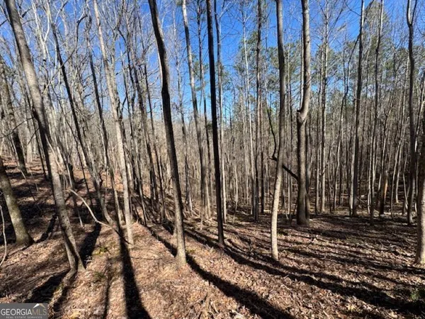 a view of a backyard with a trees