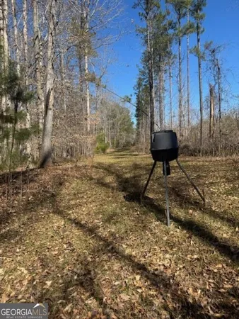 a view of a backyard of the house