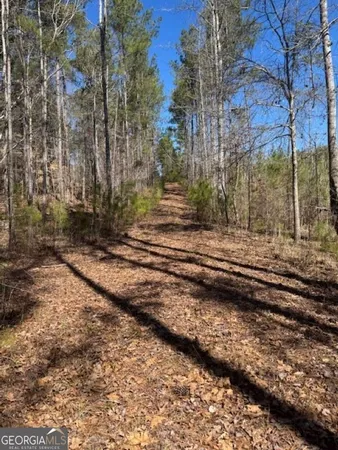 a view of a yard with wooden fence