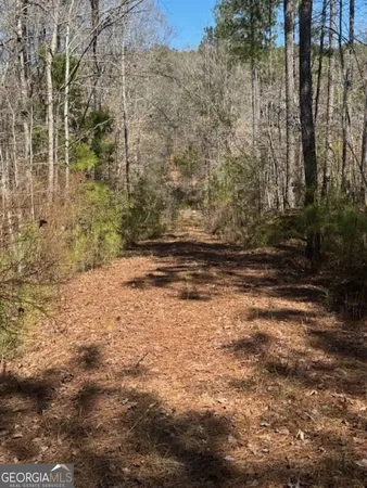 a view of a yard with trees