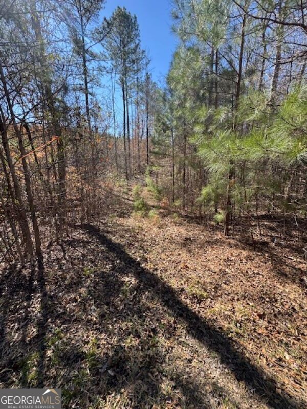 0 Brown Creek Road Shiloh, GA 31826 - Photo 3 of 30 a view of a yard with trees