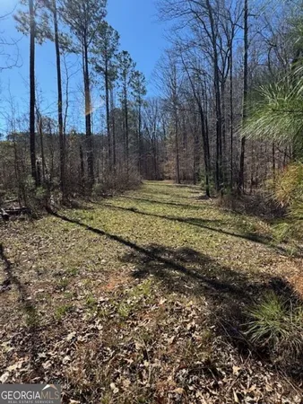 a view of a yard with wooden fence