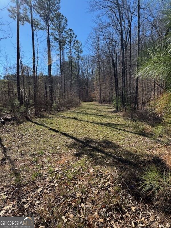 0 Brown Creek Road Shiloh, GA 31826 - Photo 4 of 30 a view of a yard with wooden fence