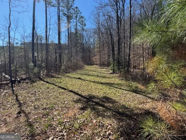 a view of a backyard with trees
