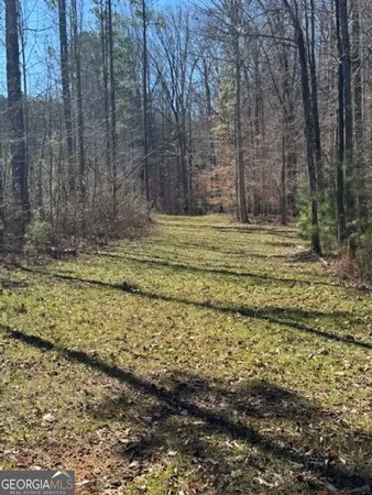 a view of a yard with trees