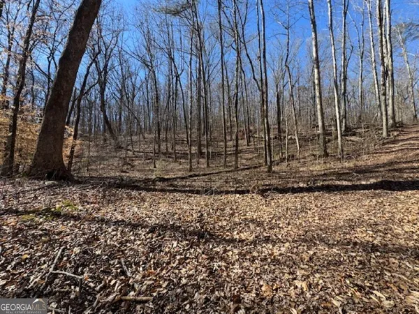 a view of a backyard with large trees