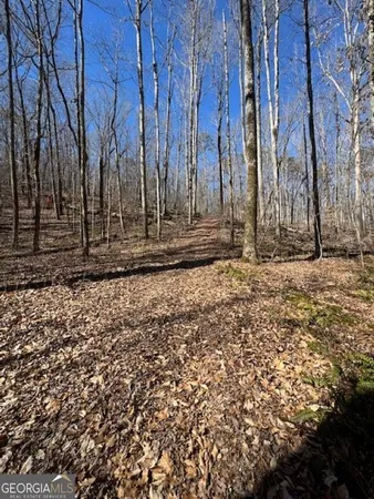 a view of a backyard of the house