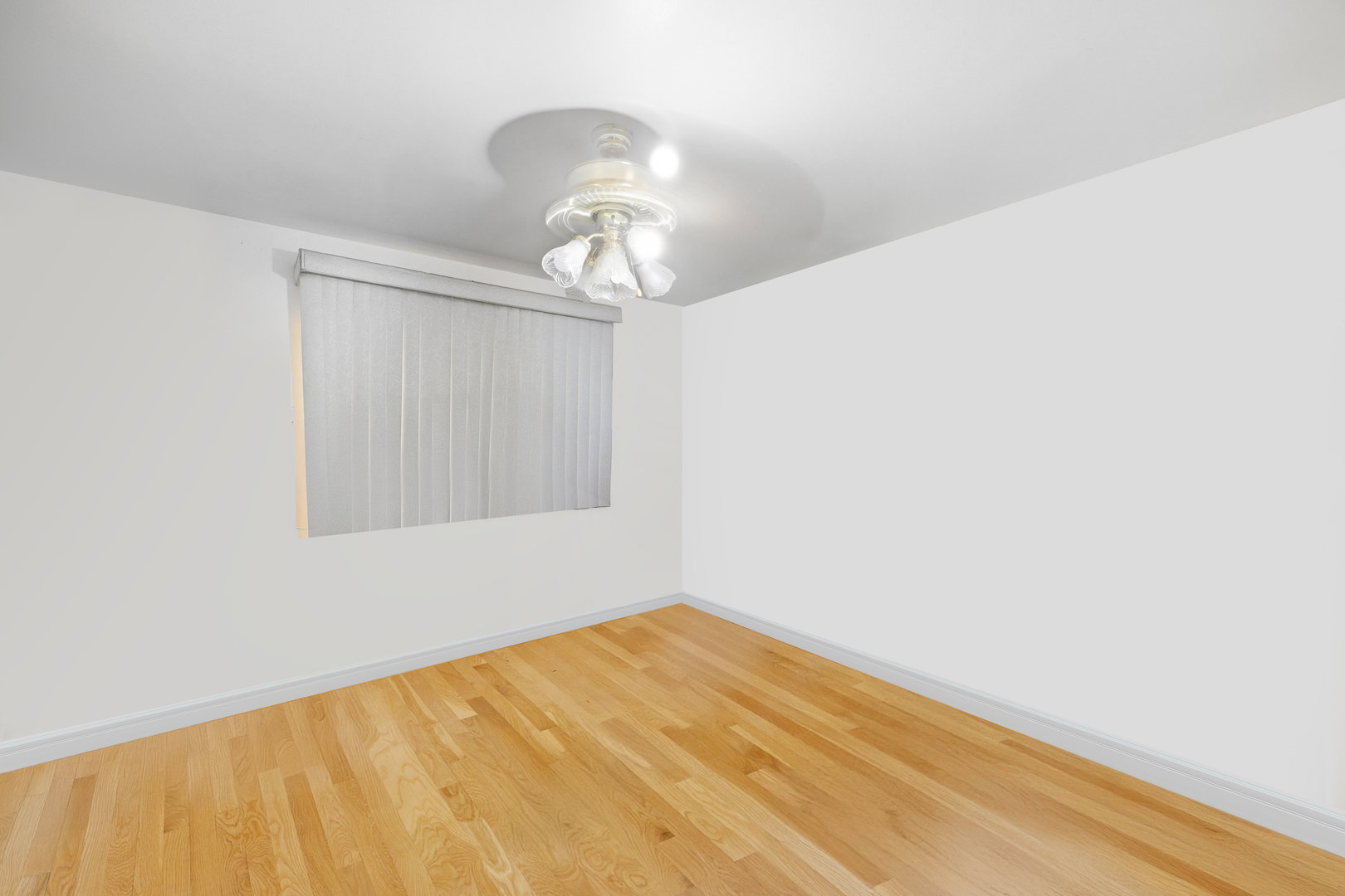 9748 South Van Vlissingen Road Chicago, IL 60617 - Photo 11 of 34