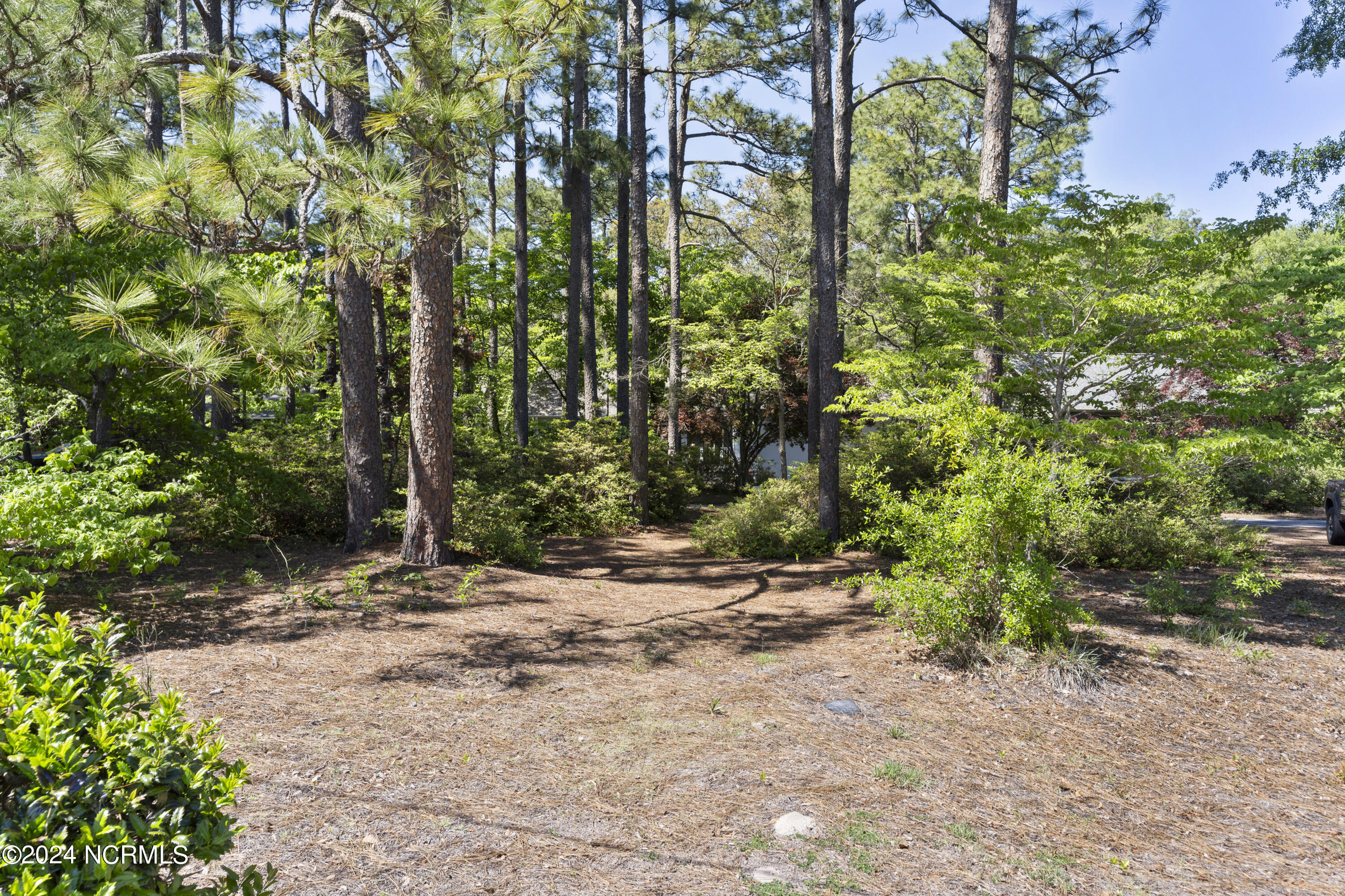 4113 Red Bird Road Wilmington, NC 28412 - Photo 58 of 63 DSC06495