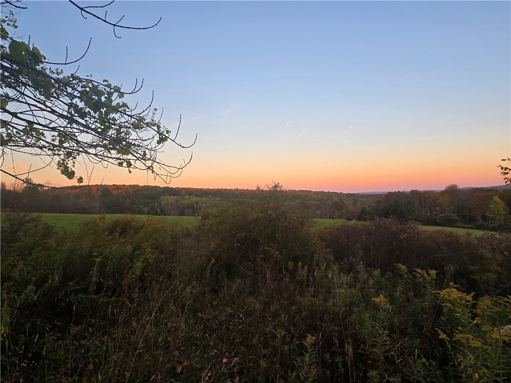 Hardknocks Road Unadilla, NY 13849 - Photo 1 of 16