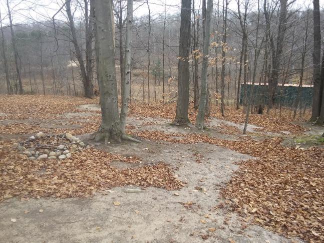 0 Gasline Road, Unit 11 Frederic, MI 49733 - Photo 20 of 21 Gallery Image 20