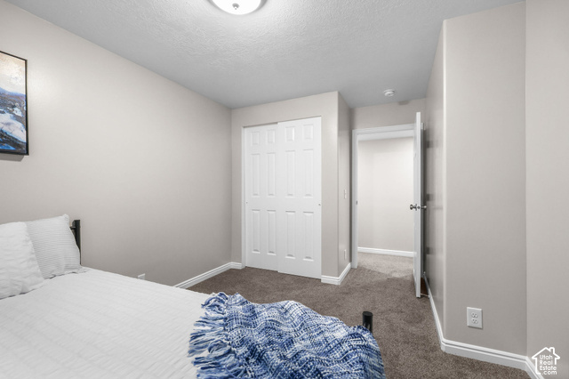 1045 West 3600th South Perry, UT 84302 - Photo 37 of 57 Neutral-toned walls, textured carpet, and a bi-fold closet door