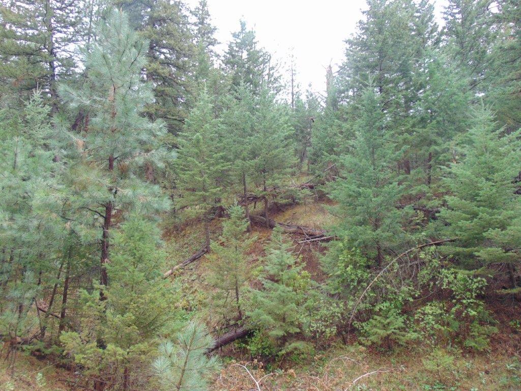 Tbd Shady Spring Lane Cascade, MT 59421 - Photo 47 of 78 Gallery Image 47