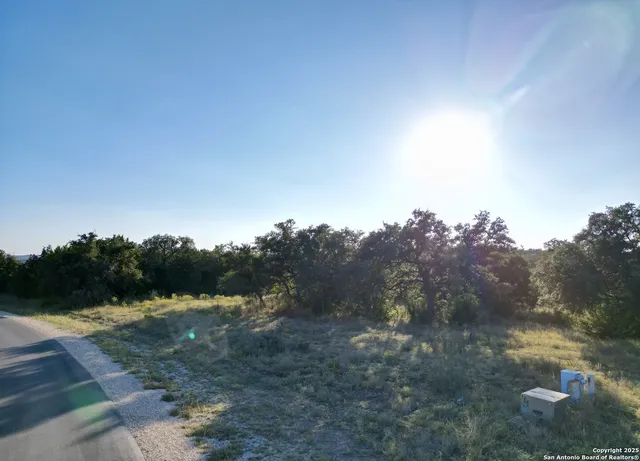 a view of a dry yard with trees