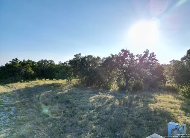 a view of a field of grass and trees
