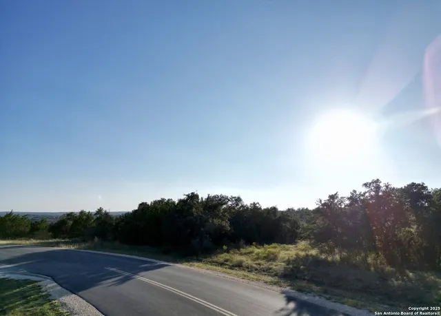 a view of a dry yard with trees