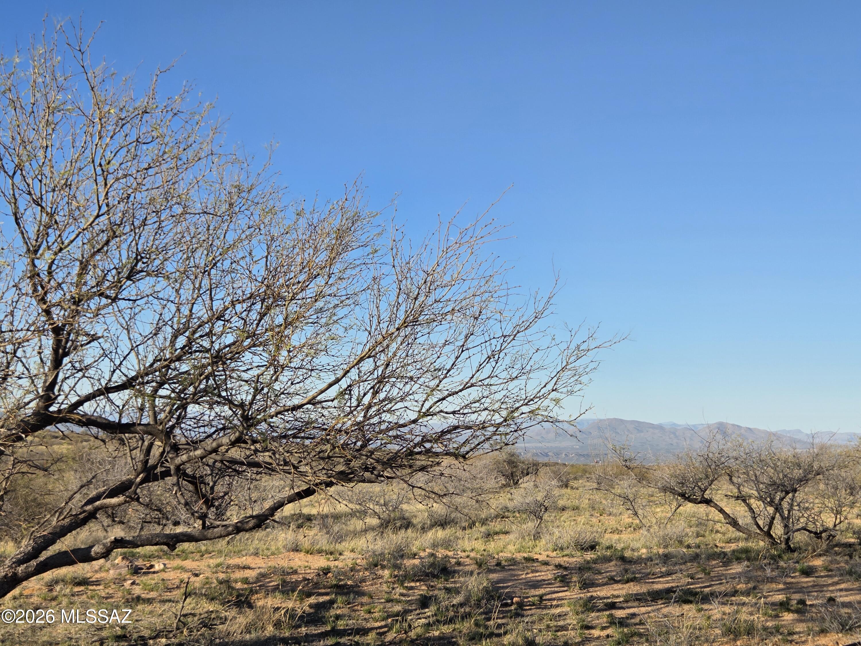 West Canary Spring Road Benson, AZ 85602 - Photo 8 of 10 20260303_171121