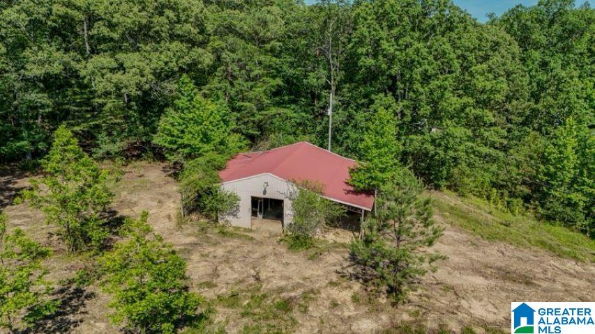 0 Jones Dairy Road Jasper, AL 35501 - Photo 14 of 14