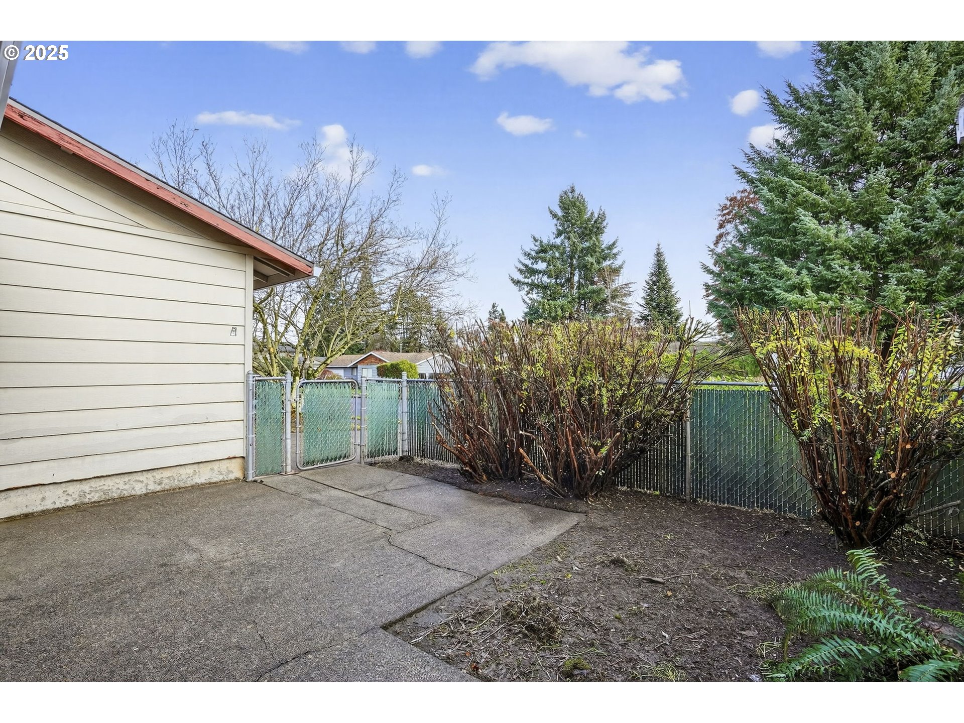1427 Southeast Wendy Avenue Gresham, OR 97080 - Photo 5 of 35 a view of a backyard with potted plants and large trees