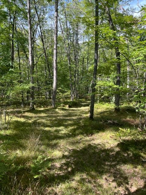 9793 South Spruce Road Idlewild, MI 49642 - Photo 1 of 23 IMG_0529
