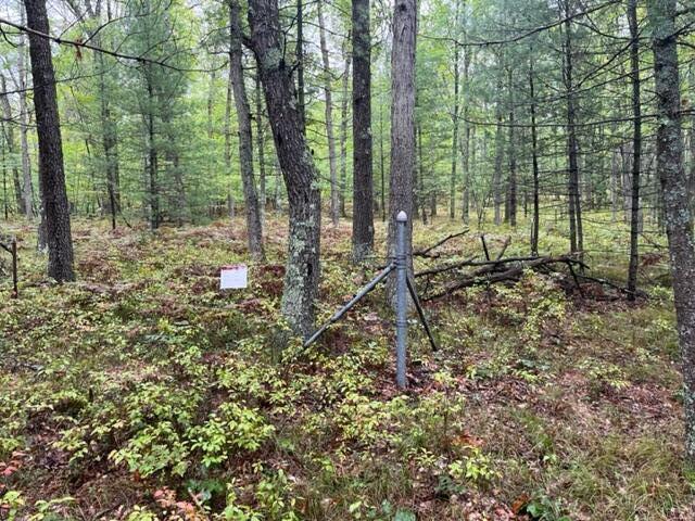 9793 South Spruce Road Idlewild, MI 49642 - Photo 11 of 23 IMG_0578