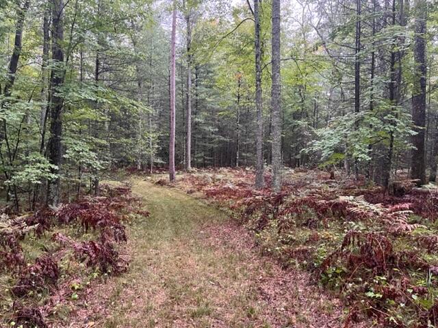 9793 South Spruce Road Idlewild, MI 49642 - Photo 13 of 23 IMG_0589