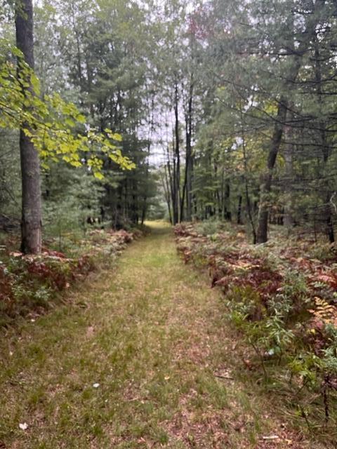9793 South Spruce Road Idlewild, MI 49642 - Photo 14 of 23 IMG_0592(1)