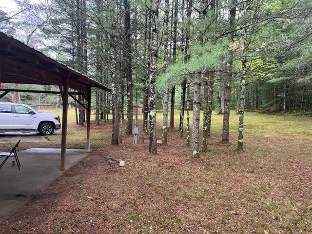 9793 South Spruce Road Idlewild, MI 49642 - Photo 19 of 23 IMG_0605