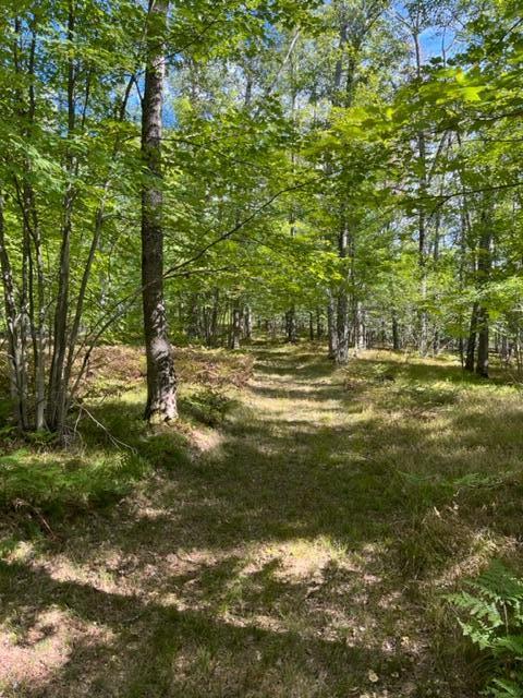 9793 South Spruce Road Idlewild, MI 49642 - Photo 2 of 23 IMG_0530