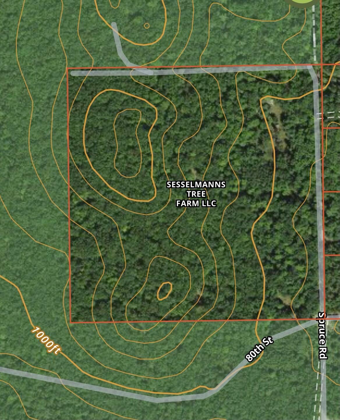 9793 South Spruce Road Idlewild, MI 49642 - Photo 23 of 23 IMG_1975(1)